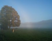 DSC07079